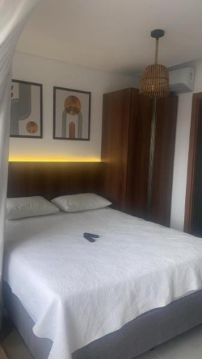 Studio Barra Premium